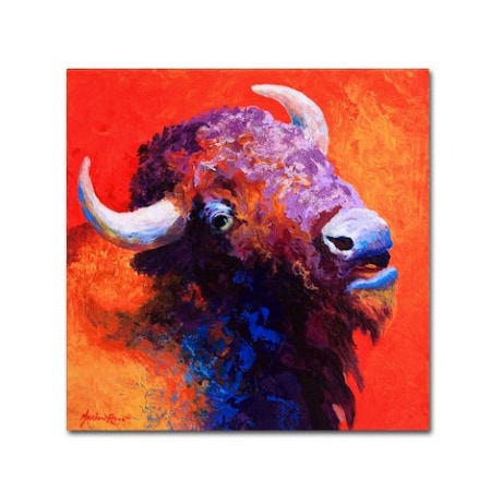 Marion Rose 'Bison Attitude' Canvas Art,18x18